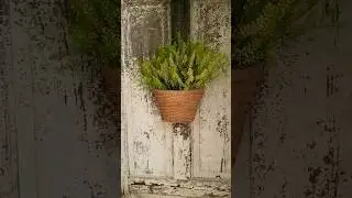 Decorating with Wayside Plants #frugal #inexpensive #home #decor #decorating #ashleyqurollo #piano