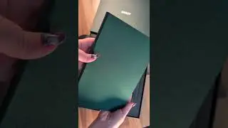 LAMY 2000 Pine Green Unboxing