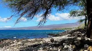 Somewhere Between Puako and Hapuna 3 of 9  - Island Horizon Videos 1993