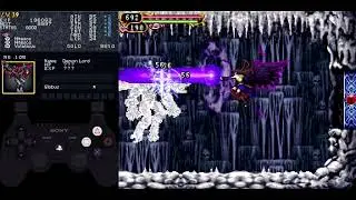Castlevania: Order of Ecclesia Large Cavern Guide