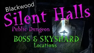 Silent Halls Public Dungeon BOSS & SKYSHARD location RUN-through || ESO Super-Quick