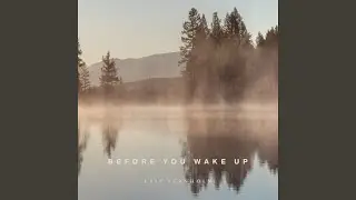 Before You Wake Up