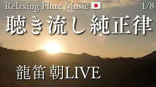 【純正律BGM】聴き流し癒される龍笛LIVE | Relaxing Flute Music Japan | 2026/1/8