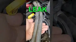 Mechanic States Chevy Coolant Leaks?