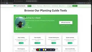 Screen Recorder Chrome Extension - RecordIt Pro