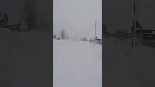 Зима в своей красе