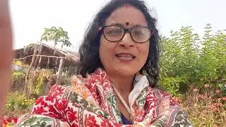 December month garden overview.Sabita's creativity and lifestyle.❤️🙏🏼
