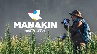 Birding and Wildlife - Manakin Nature Tours