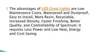 How to Choose the Best LED Grow Lights