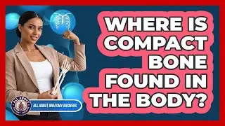 Where Is Compact Bone Found In The Body?