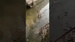 👉👍🐠Unbelievable Fishing best video; YouTube video;Viral video;