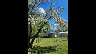 6878 Boss Road, Ellsworth, MI - 1934232