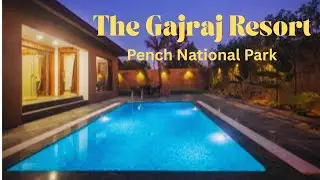 A Small Trip To Pench National Park #penchnationalpark