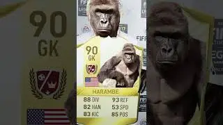 FIFA CARDS WE WILL NEVER FORGET... #messimiami #messimls #fc24 #fc24packs #fifamemes