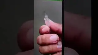 Transparent Fish | white Fish  #viral #fish #fishing #fishvideo