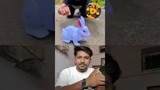 White rc horse & cute rabbit 🐇😍#rabbit #animals #shorts #toys #horse #unboxing #video