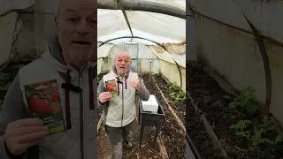 Une vari&eacute;t&eacute; de Tomates savoureuses Tr&egrave;s connu des anciens