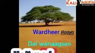 Gobol taariikh leh iyo waxan kugu galbinayaa wardheer gaariyeey