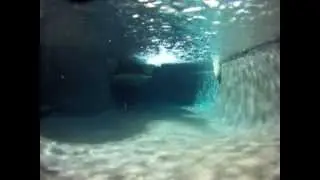 Underwater Salt Water Swimming Pool Tour - Point Loma Pool Service