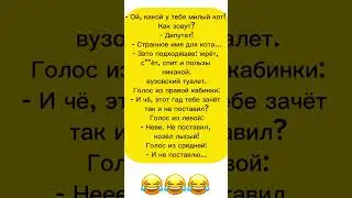 #смех #шутка #юмор #комеды #funny #shorts #lol#humor #comedy