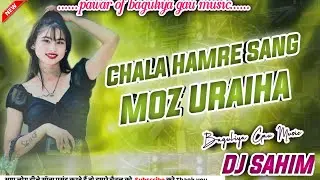 CHALE HAMRE SANGE MOZ URAIHA DJ SAHIM BAGULIYA GAU MUSIC 