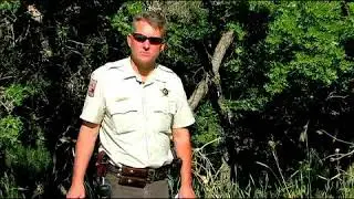 How to Become a Forest Ranger