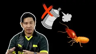 Jangan Spray Anai-Anai Kalau Tak Nak Rumah Lagi Teruk