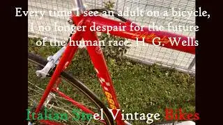 Italian Steel Vintage Bike