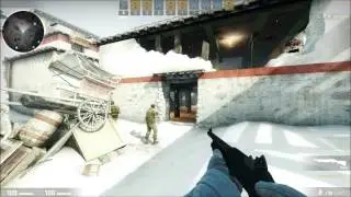 INSANE Counter-Strike GO Shotgun Double Kill!!