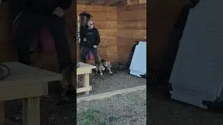 Protection Training Pocket Bully