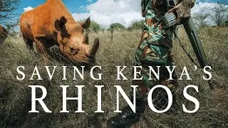 THE BRINK: Reporting from the Front Lines of Conservation // Black Rhinos in Kenya | Short Film