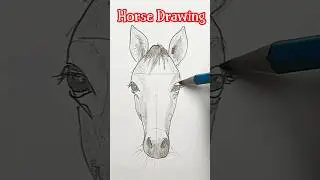 Quick Horse Drawing Shorts | Easy Horse Sketch Tutorial #horsedrawing