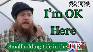 This Place Is Healing Us | Homesteading in Wales | S2 Ep3