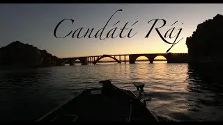 Lov candáta na přívlač - drop shot & jig ve sloupci, přes Garmin Panoptix Livescope🎣 #candat #ryba