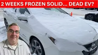 Я купил Nissan Leaf на аукционе — он простоял при температуре -25°C две недели... Он вообще на ходу?