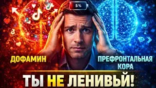 5 способов хакнуть силу воли через дофамин: Наука самоконтроля 2026