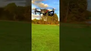 Кот летает на дроне?! 🐱🚁