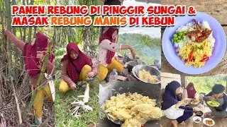 Panen Rebung di Pinggir Sungai & Masak Rebung Manis di Kebun!