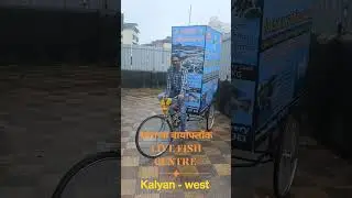 Swarajya Biofloc - Live Fish Centre - Kalyan west - Maharashtra