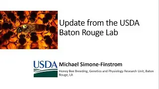 Mike Simone Finstrom  Update on Baton Rouge Honey Bee Lab