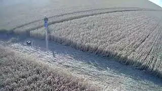 Crop circle  10/07/2022
