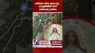 പരിശുദ്ധ അമ്മ ഇടപെട്ടു. കാട്ടുതീയിൽ നിന്ന് രക്ഷപ്പെട്ട പ്രദേശം | MOTHER MARY | MIRACLE | GOODNESS TV