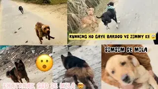 Running competition ho gaya 😱 jimmy vs barood 🫣 khatrnak Gsd 😮@NikhilPetHouse 