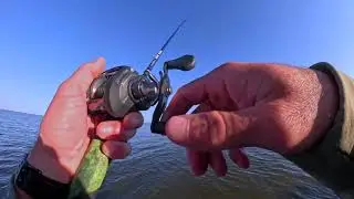 Bay fishing Lake Calcasieu, Louisiana #fishing #saltwater #fishingvideo
