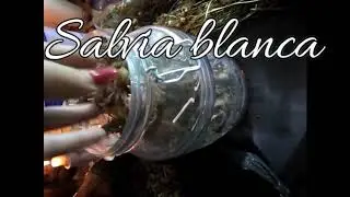 PODEROSO RITUAL ROMPEDOR DE BRUJERIA LA BRUJA SAFIRO