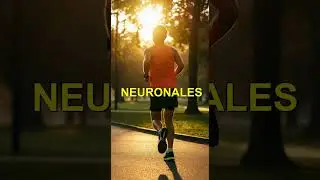 &iexcl;Ejercicios mentales f&aacute;ciles! 💡