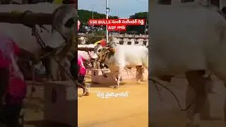 🔥SSR BULLS HUZURNAGAR #bulls#farmar#india#like #telangana#treding#viral#andrapradesh #youtubeshorts