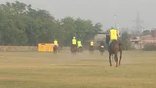 jaipur practice chukkers polo