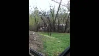 IMG 0305