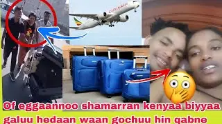 Of eggaanoo godhaa shamaran kenyaa yoo biyyaa galuu hedaa waan kanaa gonkumaa hin godhinaa🙅🙄🫢